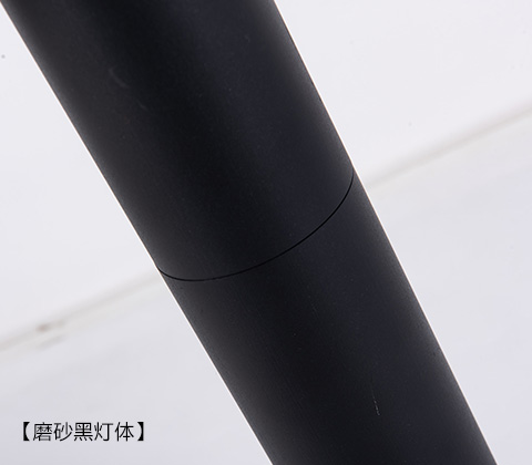 (QDTYN-CP009)花園小區(qū)LED太陽能草坪燈啞光黑燈體細節(jié)